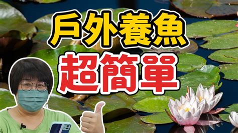 室外養魚|不用花錢只要做對這件事，就能讓戶外缸生生不息！If。